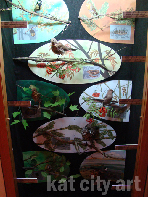 Zdjęcie: gabloty z ptakami.jpg